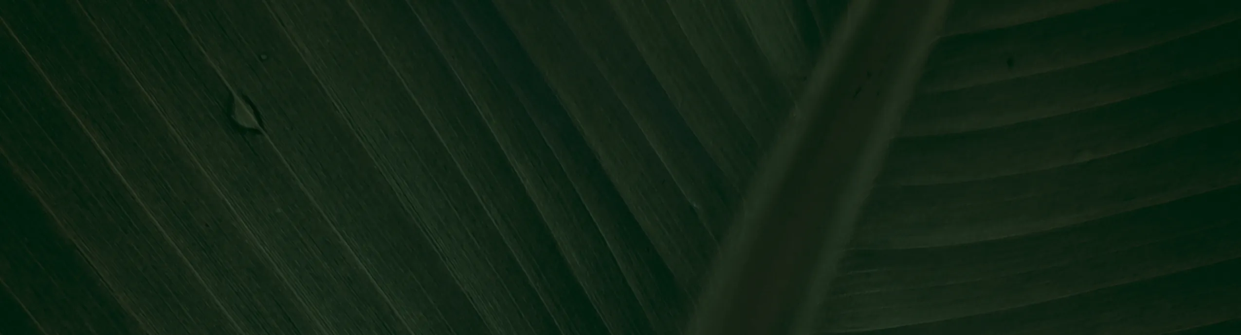 hero-image_optimized 7 Star 10% EC