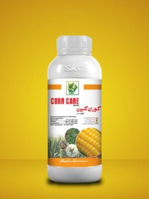 Corn Cane 40% OD