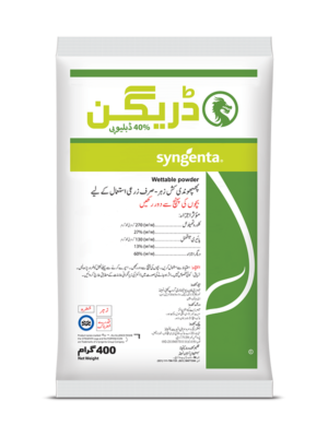 DRAGON 40% WP 400 GM