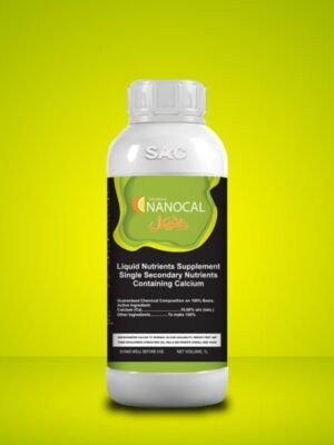 Nanocal-1-1024x576 Nanocal