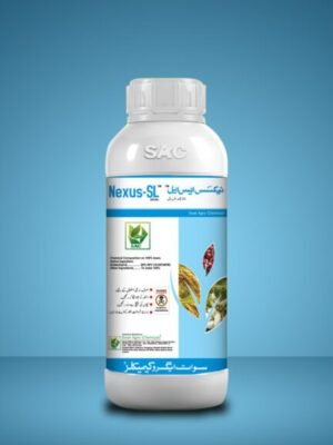 Nexus-Sl-2-1024x576 Nexus 20% SL