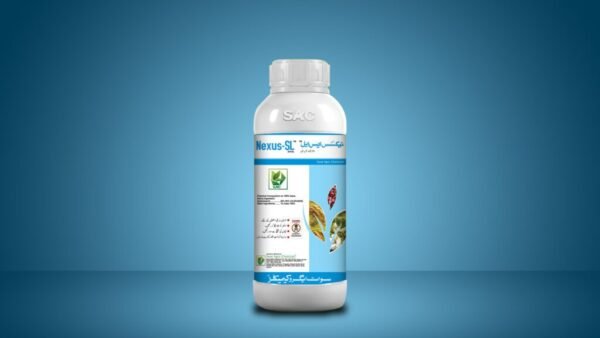 Nexus-Sl-2-1024x576 Nexus 20% SL