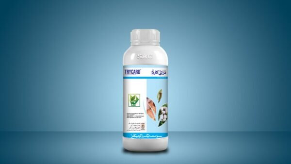 Trycard-1-1024x576 Trycard 10% EC