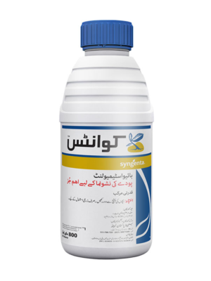 QUANTIS 800 ML